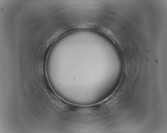 X0000076250299200610191655