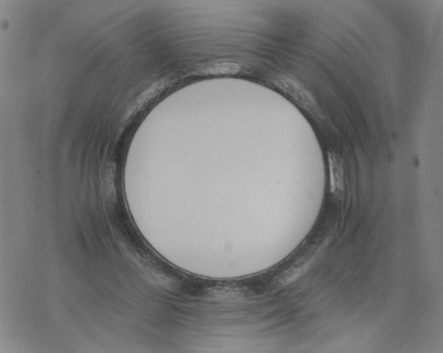 X0000076250300200610191655