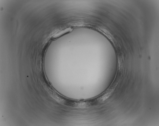 X0000076250301200610191655