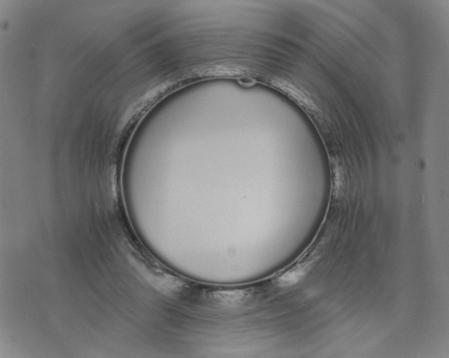 X0000076250302200610191655