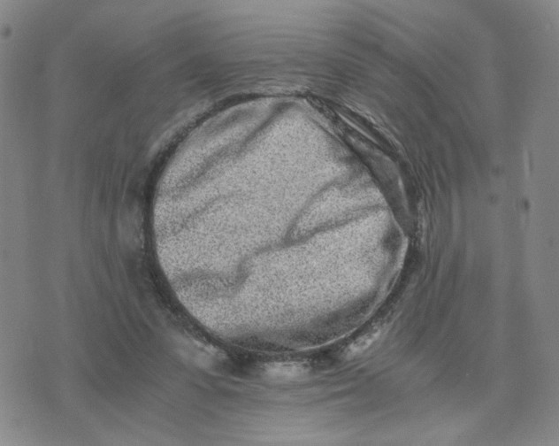 X0000076250303200610191655