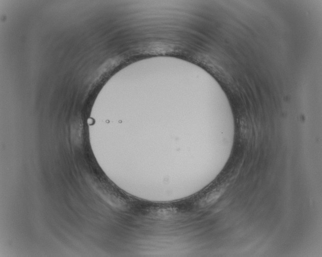 X0000076250304200610191655