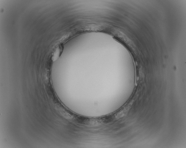 X0000076250305200610191655