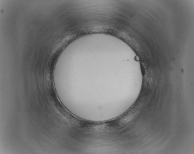 X0000076250306200610191655