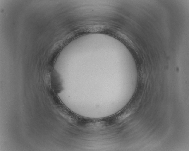 X0000076250307200610191655