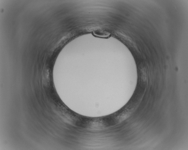 X0000076250308200610191655