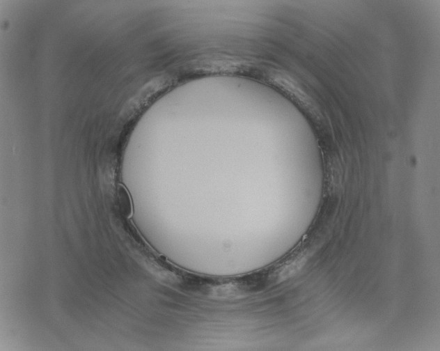 X0000076250309200610191655