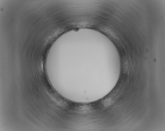 X0000076250310200610191655