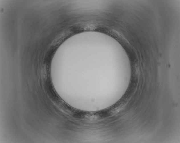 X0000076250311200610191655