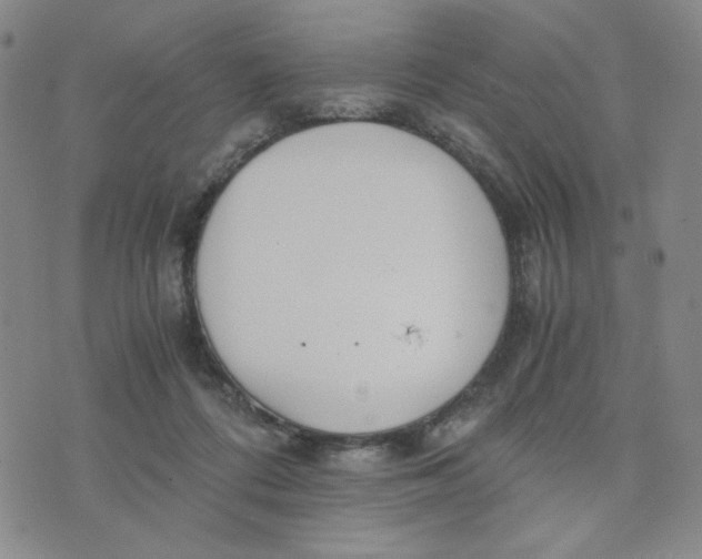 X0000076250312200610191655