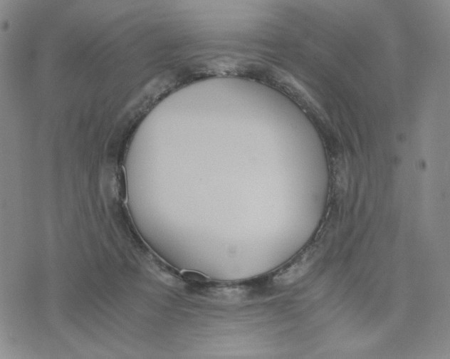 X0000076250313200610191655