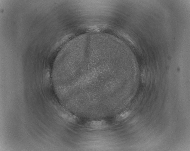 X0000076250314200610191655