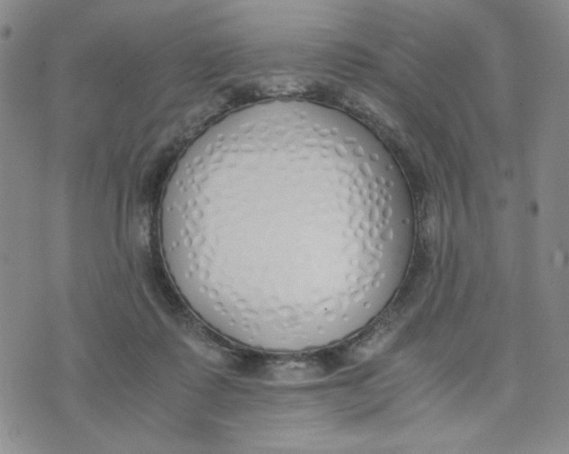 X0000076250315200610191655