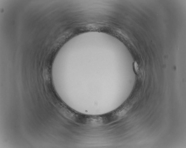 X0000076250317200610191655