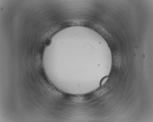 X0000076250318200610191655