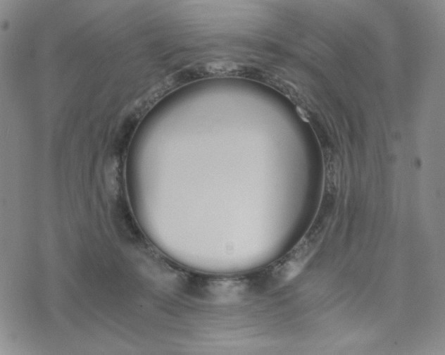 X0000076250319200610191655