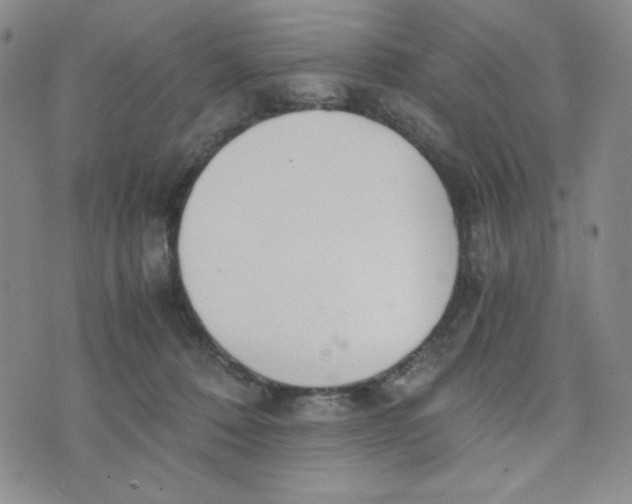 X0000076250320200610191655