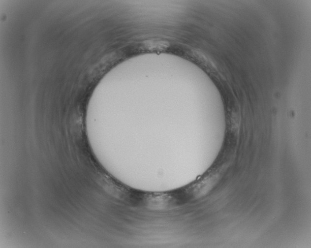 X0000076250321200610191655