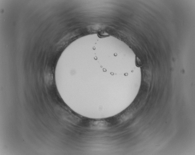 X0000076250324200610191655