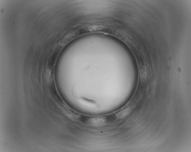 X0000076250327200610191655