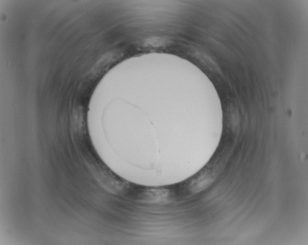 X0000076250328200610191655