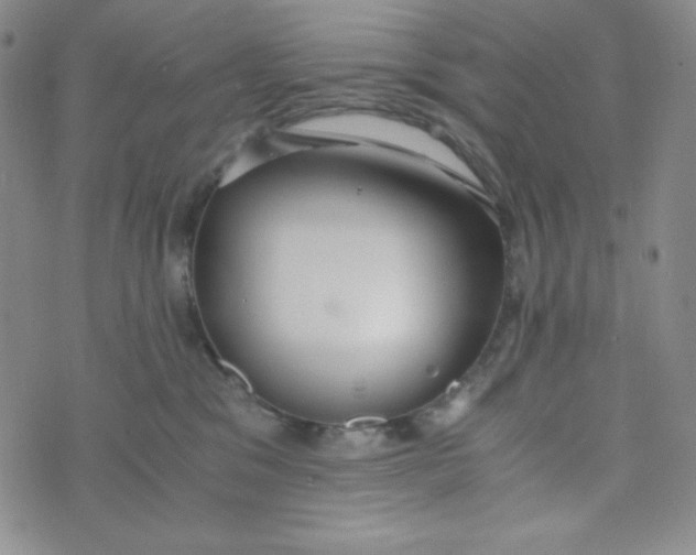 X0000076250329200610191655