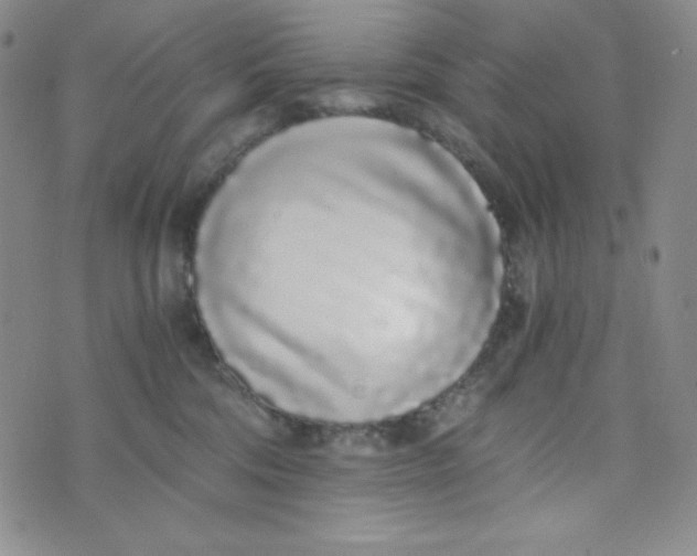 X0000076250330200610191655