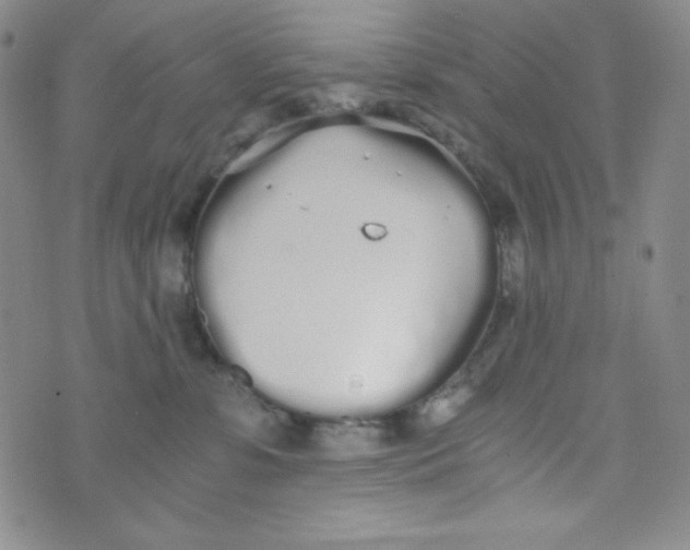 X0000076250331200610191655