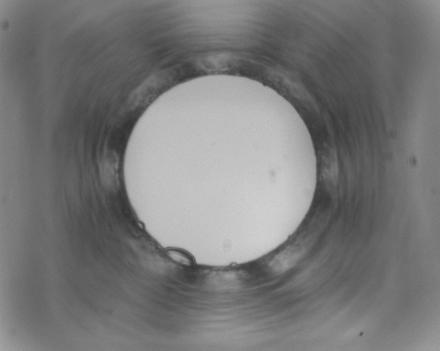 X0000076250332200610191655