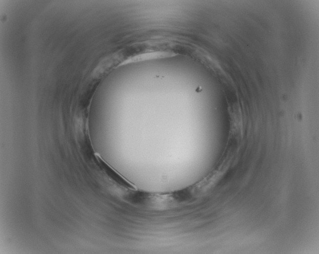 X0000076250333200610191655