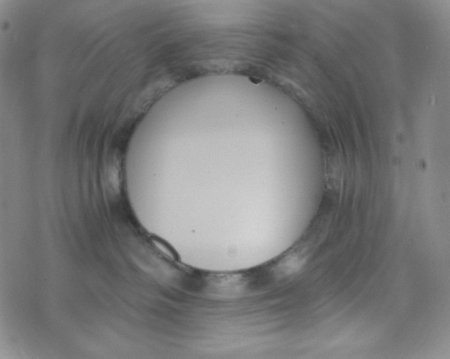 X0000076250334200610191655