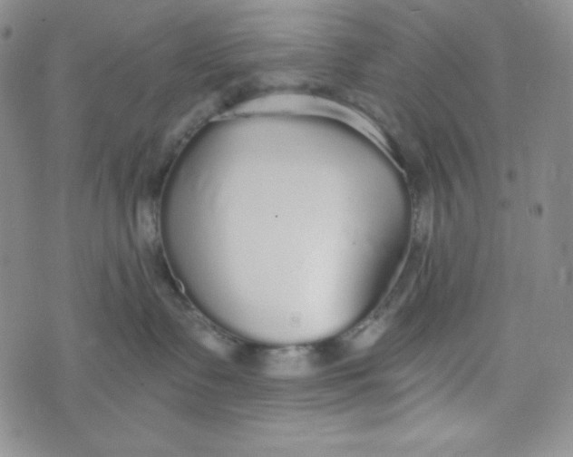 X0000076250335200610191655