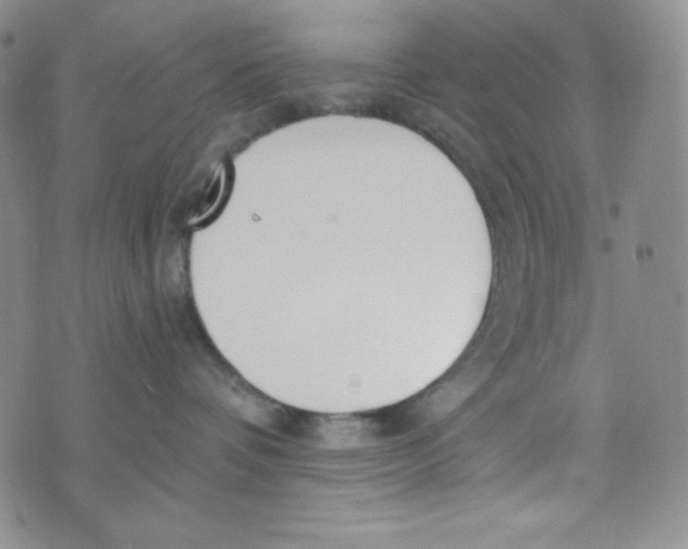 X0000076250336200610191655