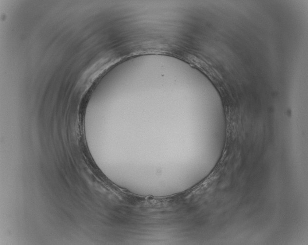 X0000076250338200610191654