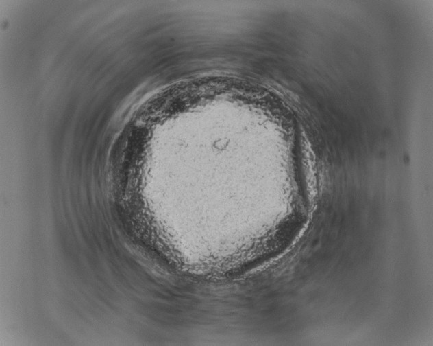 X0000076250339200610191654