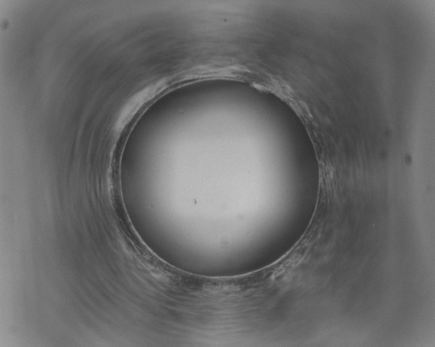 X0000076250340200610191654