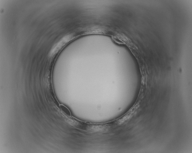 X0000076250341200610191654