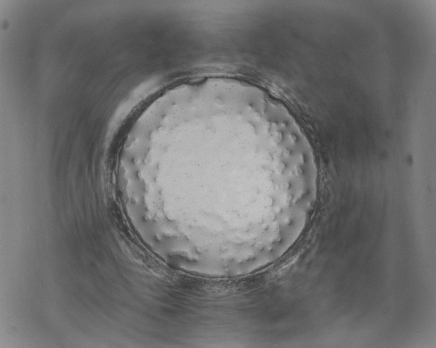 X0000076250343200610191654