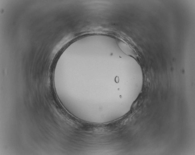 X0000076250344200610191654