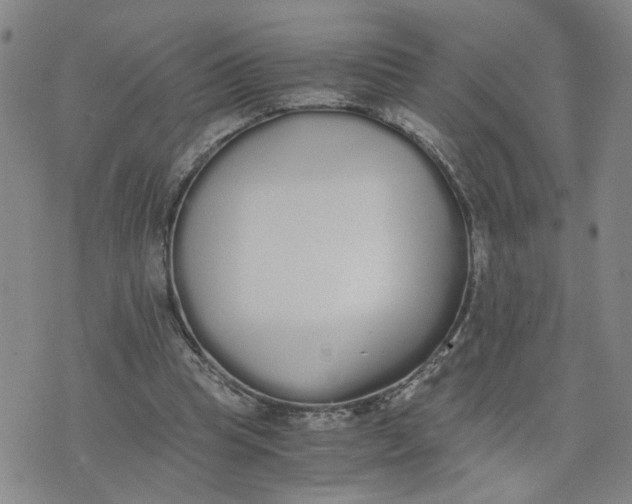 X0000076250345200610191654