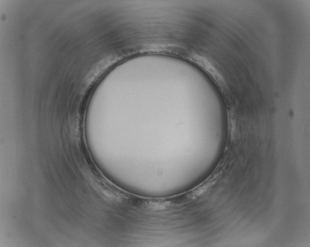 X0000076250346200610191654