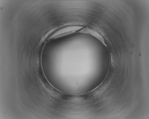 X0000076250348200610191654