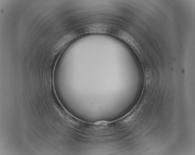 X0000076250349200610191654