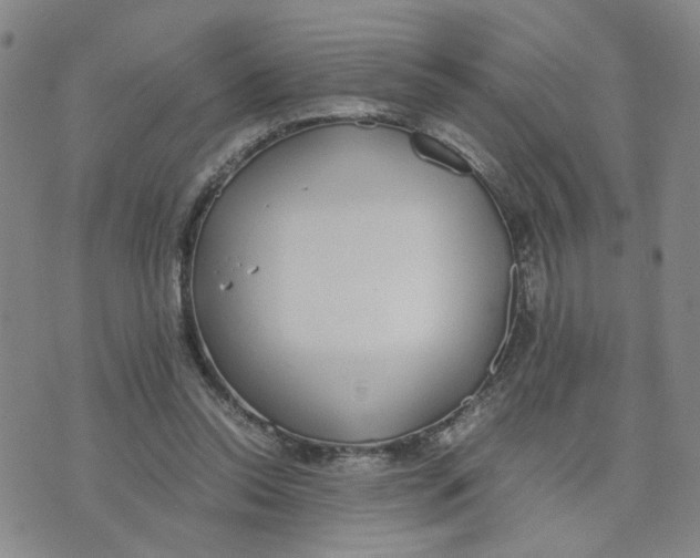 X0000076250350200610191654