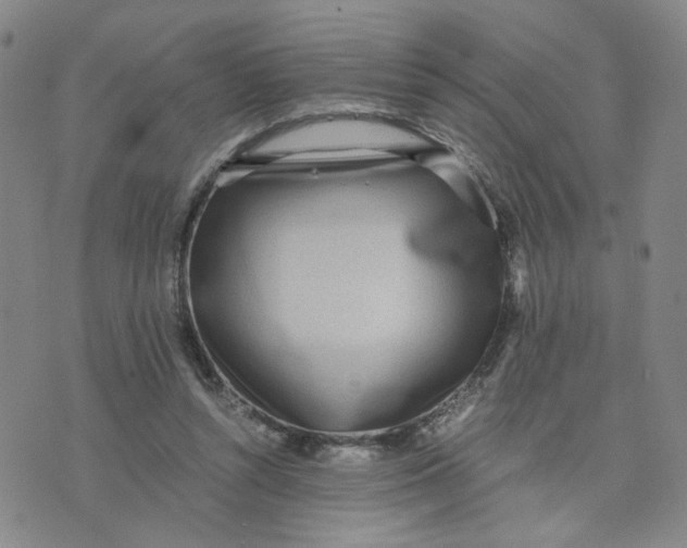 X0000076250352200610191654