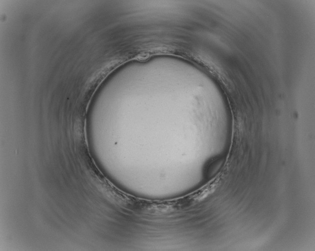 X0000076250353200610191654