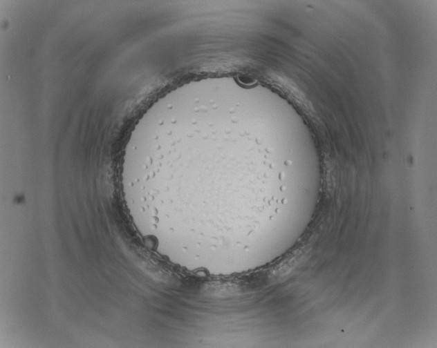 X0000076250354200610191654