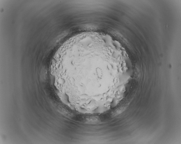 X0000076250355200610191654