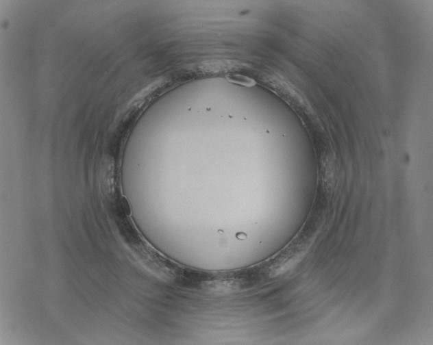 X0000076250356200610191654