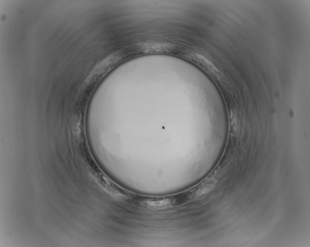 X0000076250357200610191654